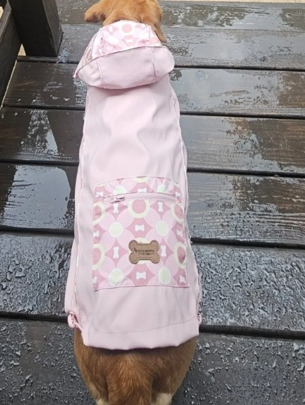 Koolaburra Dog Rain Jacket